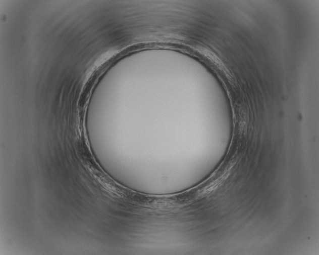 X0000071830974200607211757