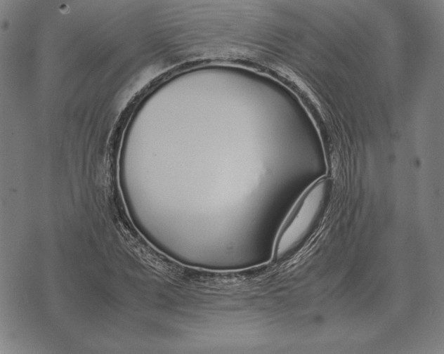 X0000071830975200607211757