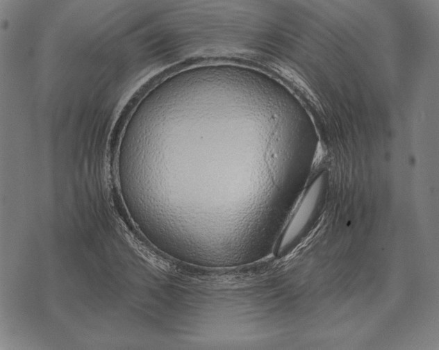 X0000071830976200607211757