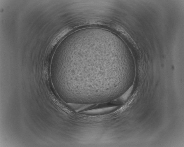 X0000071830977200607211757