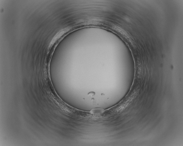 X0000071830978200607211757