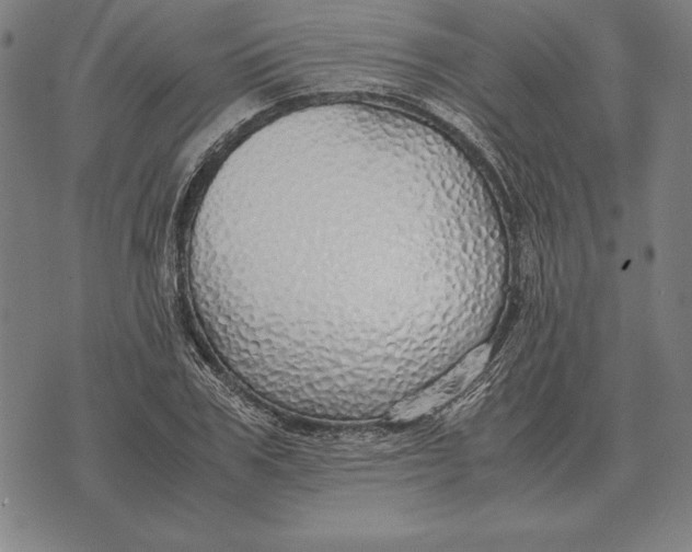 X0000071830979200607211757