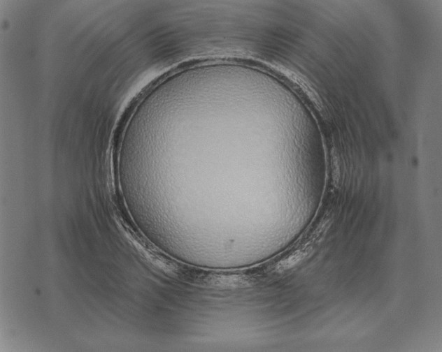 X0000071830982200607211757