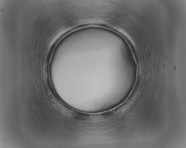 X0000071830983200607211757