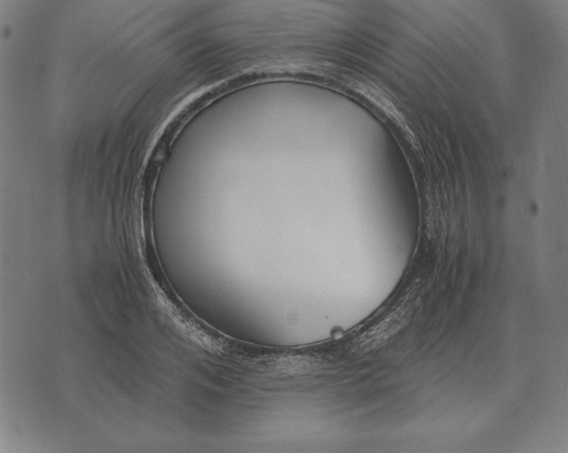 X0000071830984200607211757