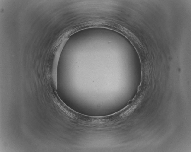 X0000071830985200607211757