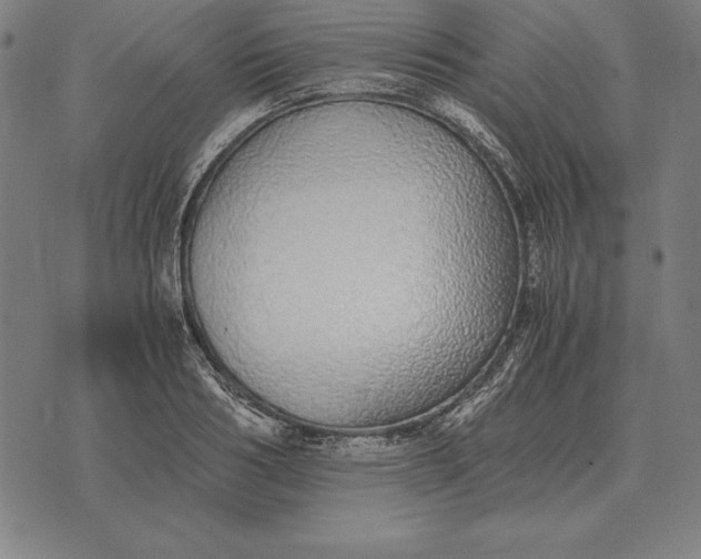 X0000071830986200607211757