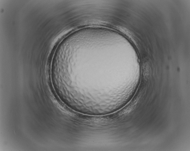 X0000071830987200607211757