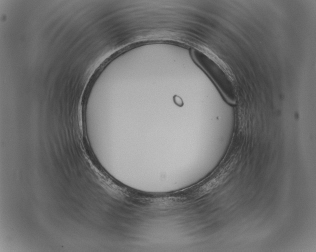 X0000071830988200607211757