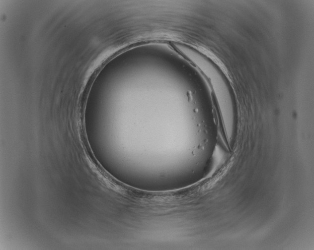 X0000071830989200607211757