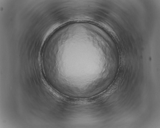 X0000071830990200607211757