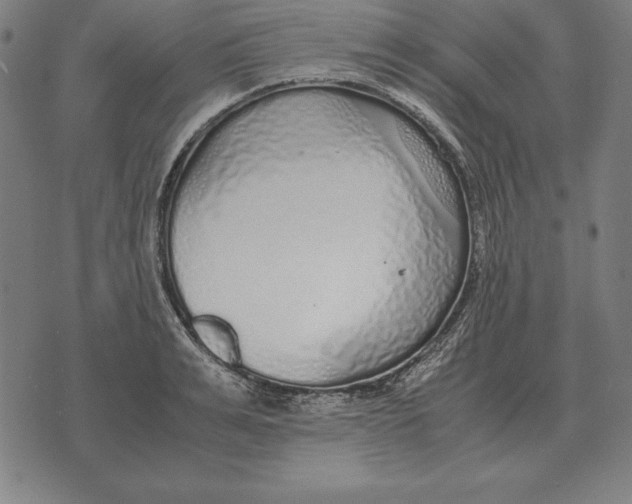 X0000071830991200607211757