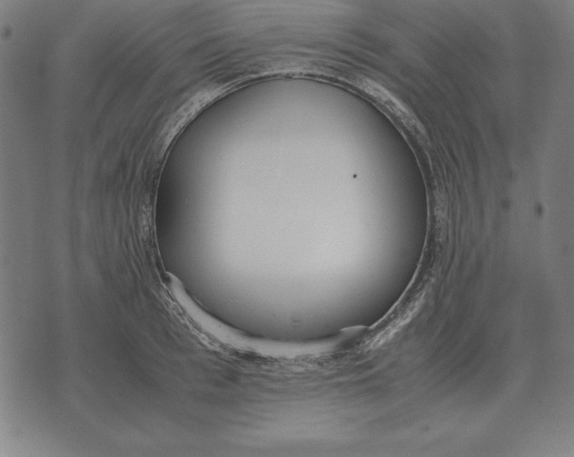 X0000071830993200607211757