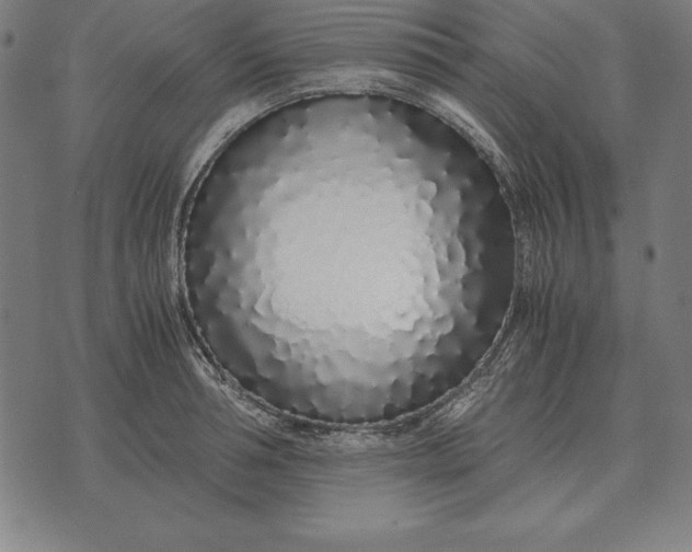 X0000071830994200607211757