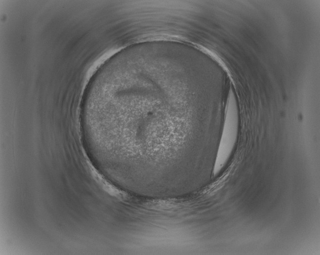 X0000071830995200607211757