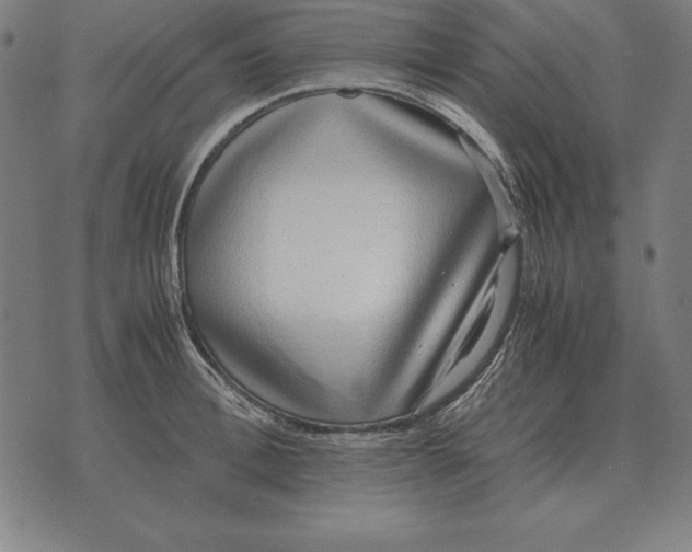 X0000071830996200607211757