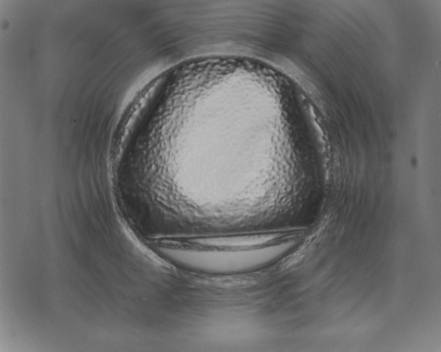 X0000071830998200607211757