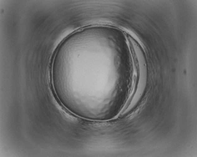 X0000071830999200607211757