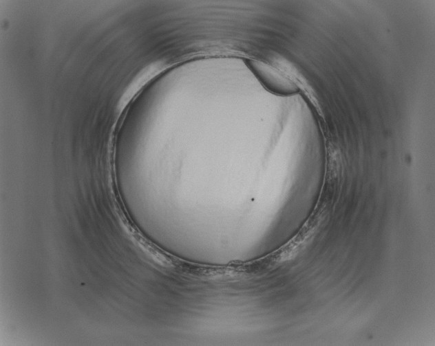 X0000071831002200607211757