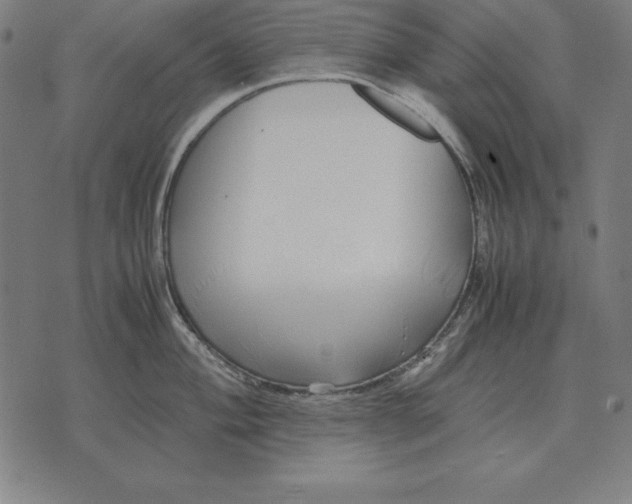 X0000071831004200607211757