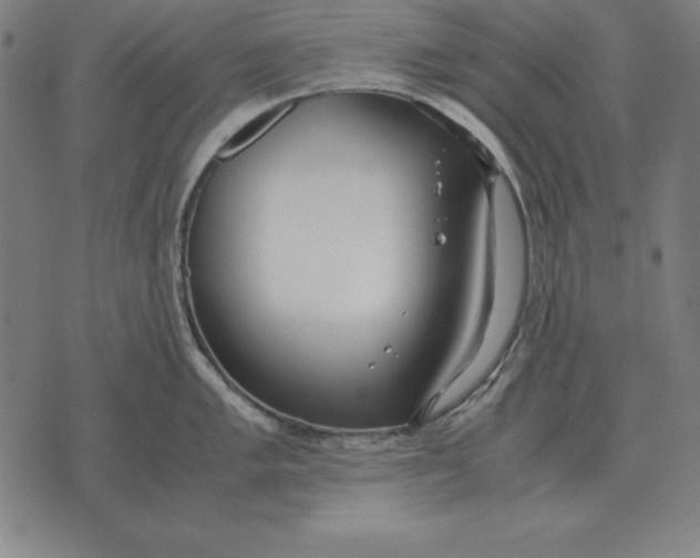 X0000071831005200607211757