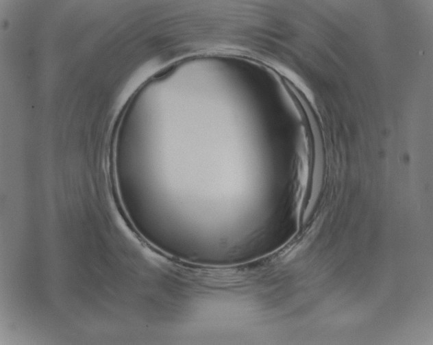 X0000071831007200607211757