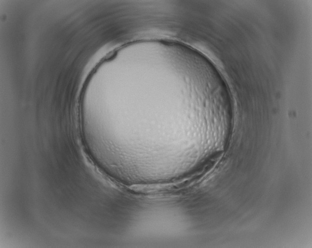 X0000071831008200607211757