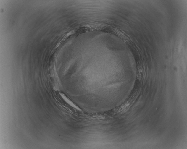 X0000071831010200607211756