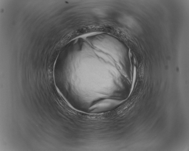 X0000071831011200607211756