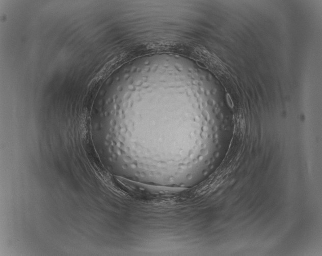 X0000071831012200607211756