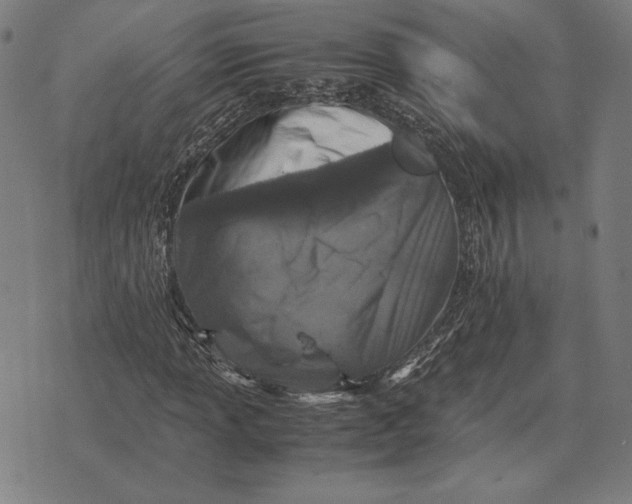 X0000071831013200607211756