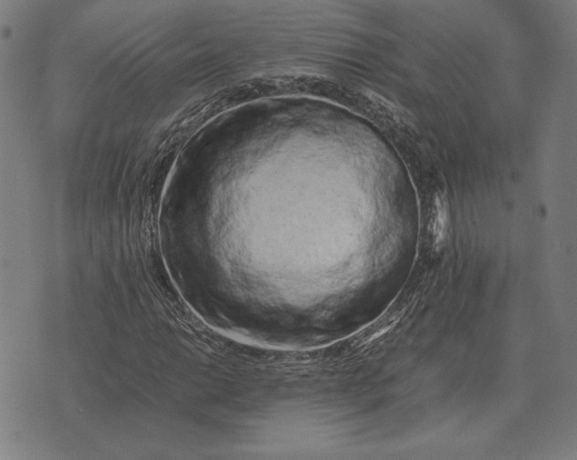 X0000071831014200607211756