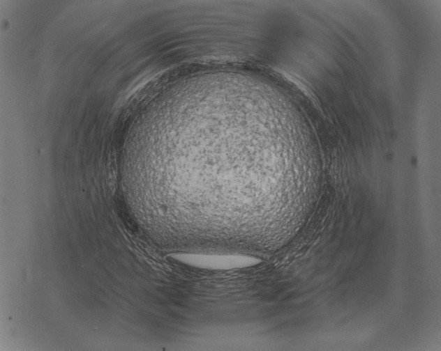 X0000071831015200607211756