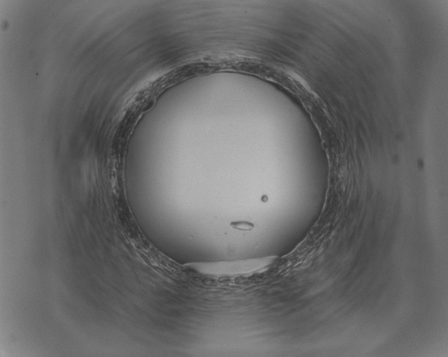 X0000071831016200607211756