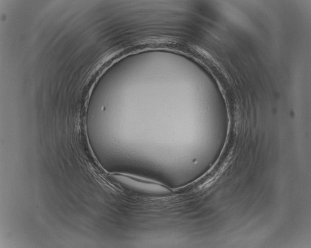 X0000071831017200607211756