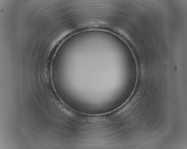 X0000071831018200607211756