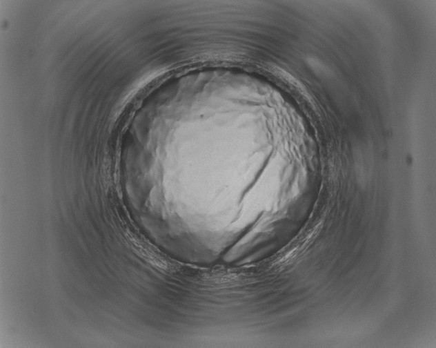 X0000071831019200607211756