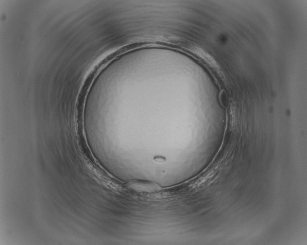 X0000071831020200607211756