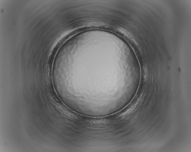 X0000071831021200607211756