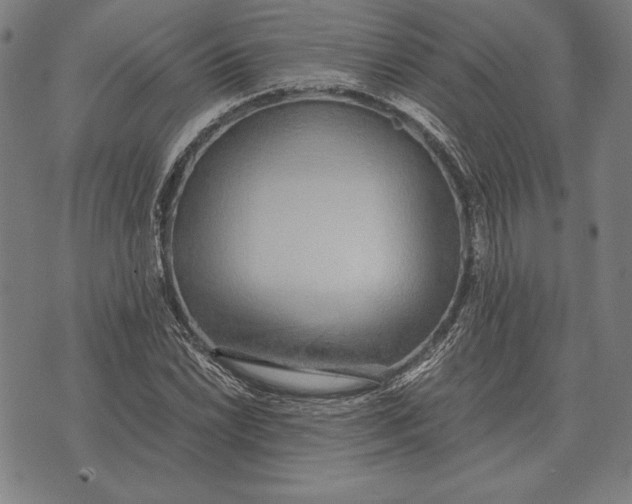 X0000071831022200607211756