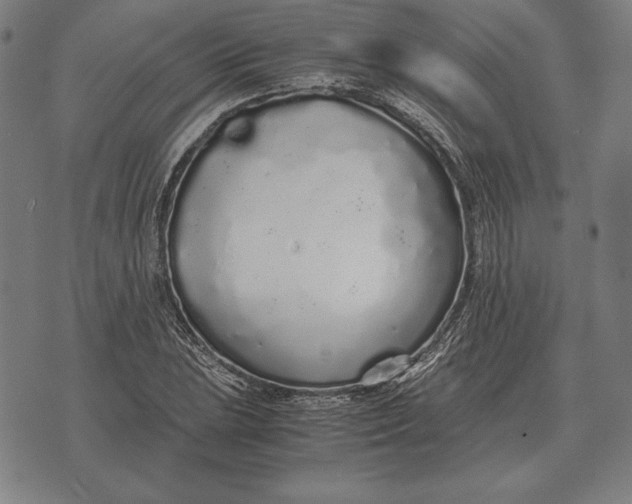 X0000071831023200607211756