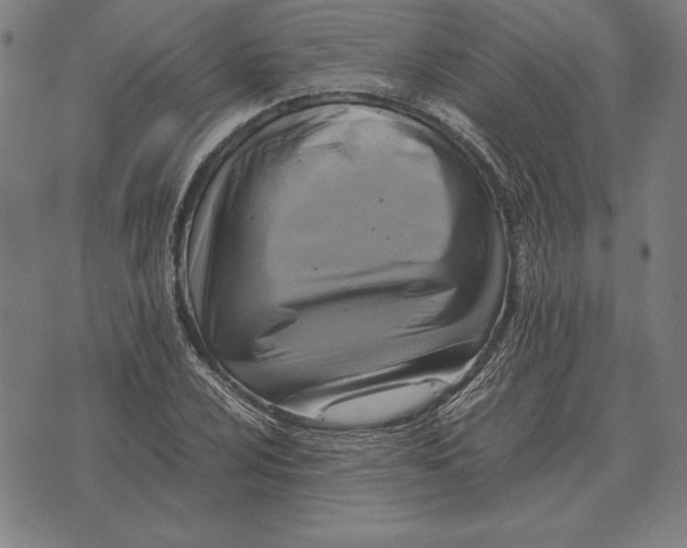 X0000071831024200607211756