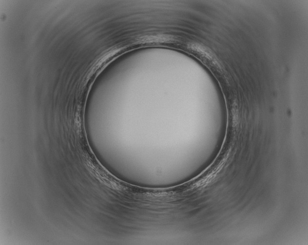 X0000071831025200607211756