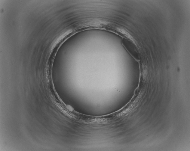 X0000071831026200607211756