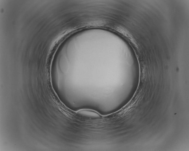 X0000071831027200607211756