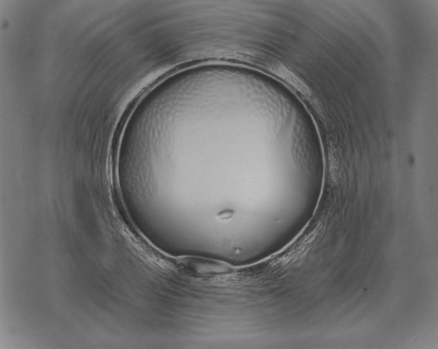 X0000071831028200607211756