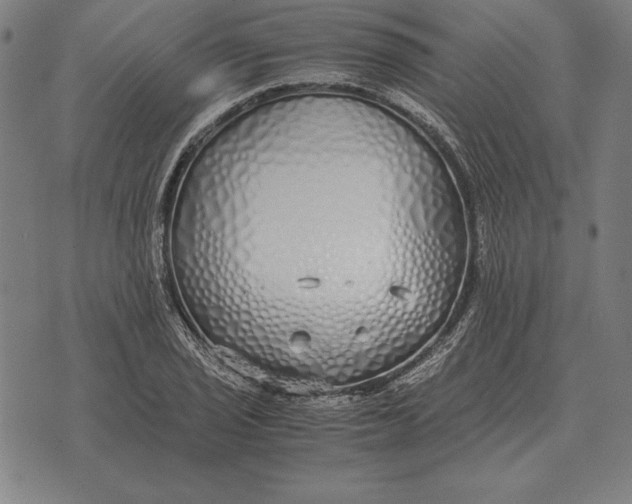 X0000071831029200607211756