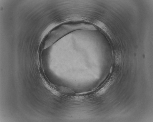 X0000071831030200607211756