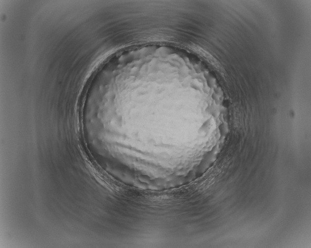 X0000071831031200607211756