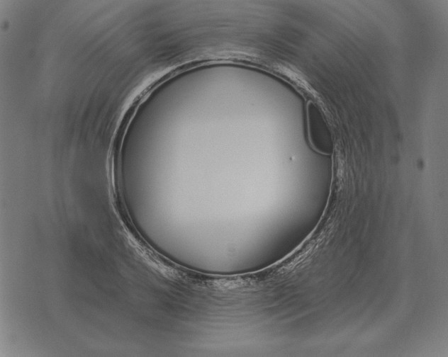 X0000071831032200607211756